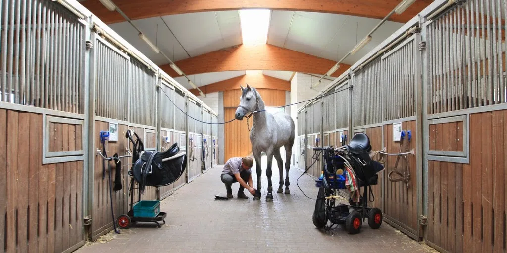 Reitstall Füg - Foto 1