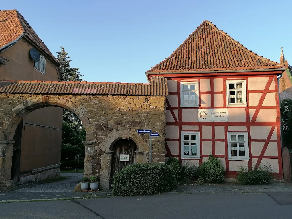 Islandpferde vom Schulplan - photo 3