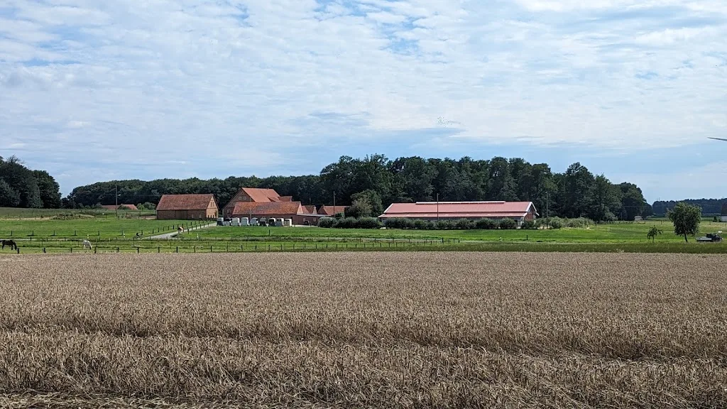 Pferdepension Waltermann - Foto 1