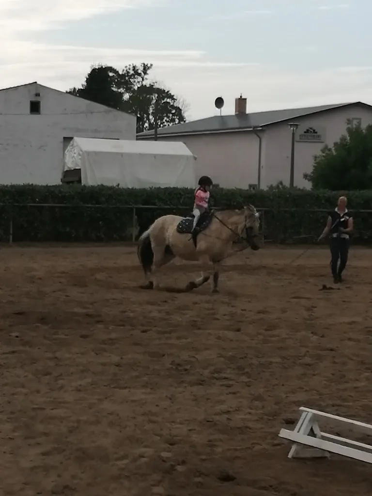 Niclaus Waldranch Pferdepension und Reituntericht - Foto 2