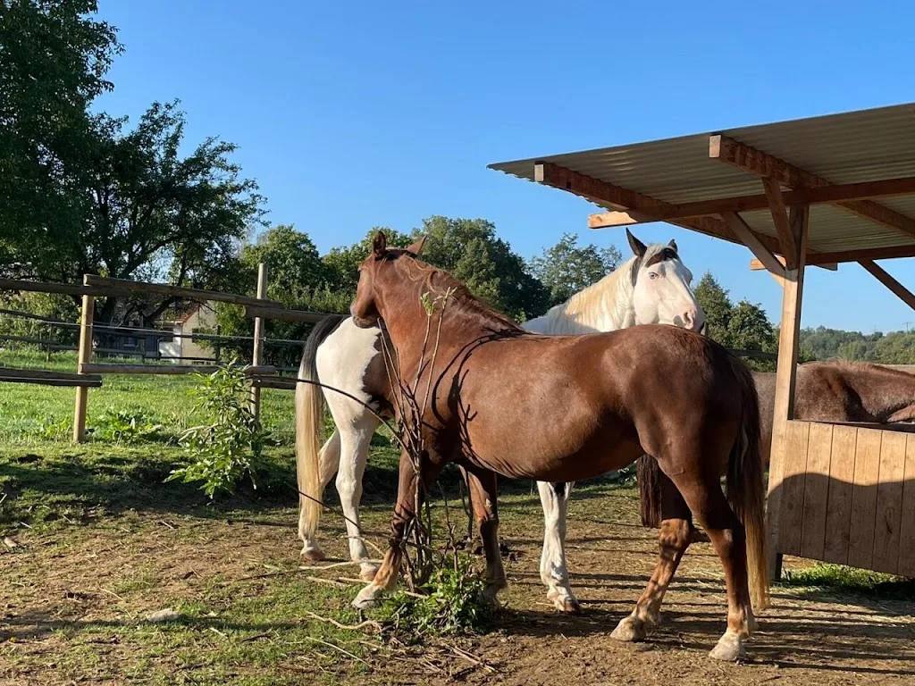 Bender Ranch - Foto 1