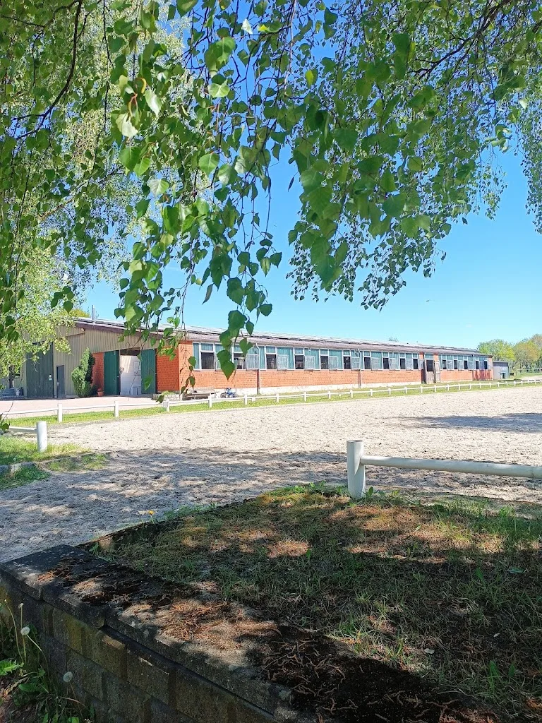 Schatz | Pferdepension & Beritt - photo 1