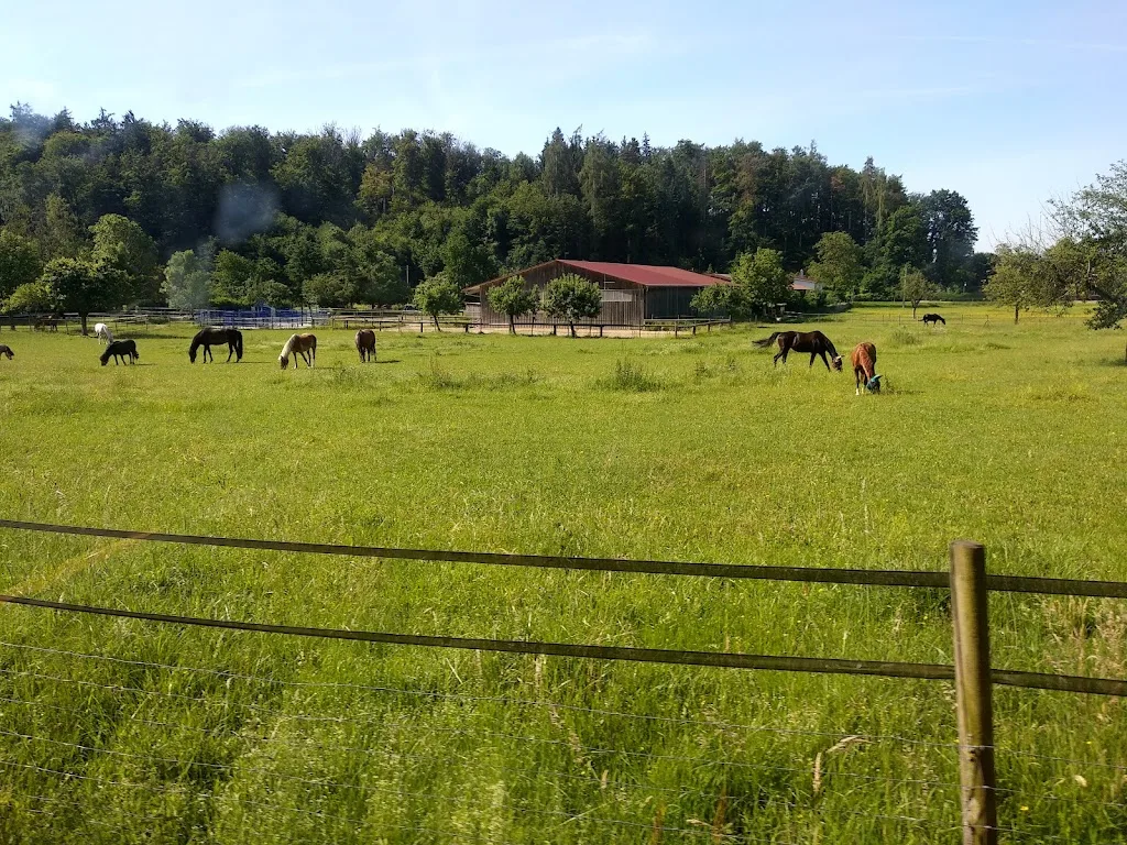 Reitanlage am Guckenbühl - Foto 2