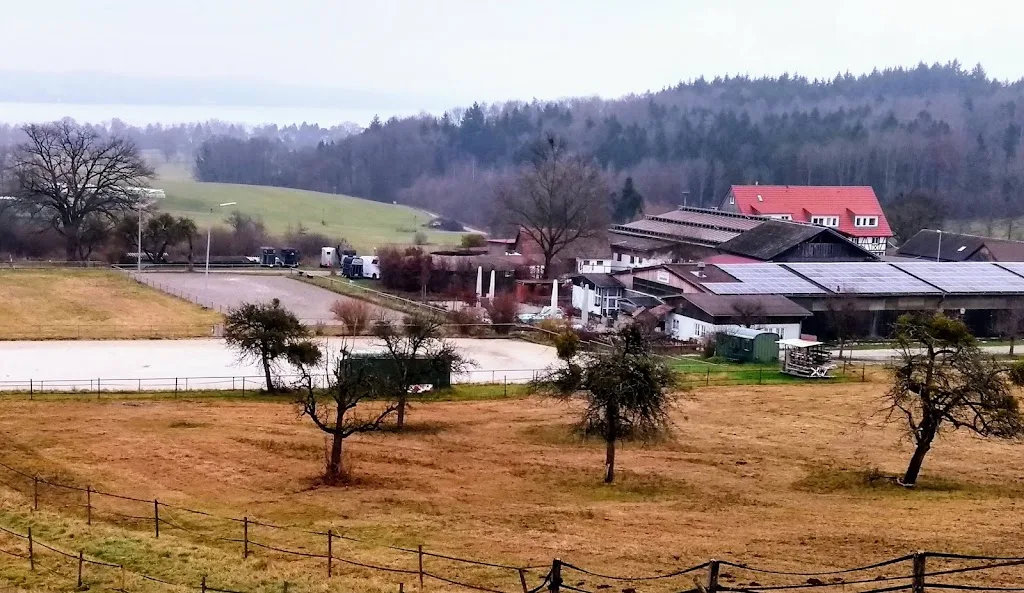 Reitanlage am Guckenbühl - Foto 3