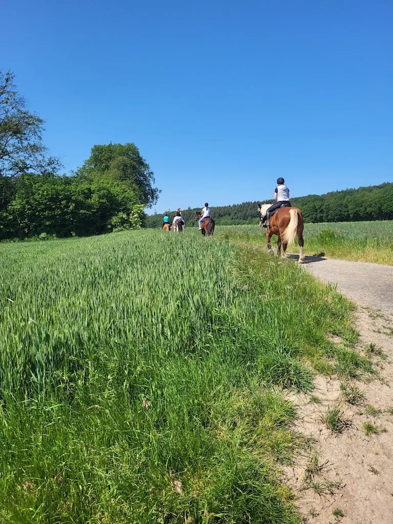Künsterhof - Foto 1