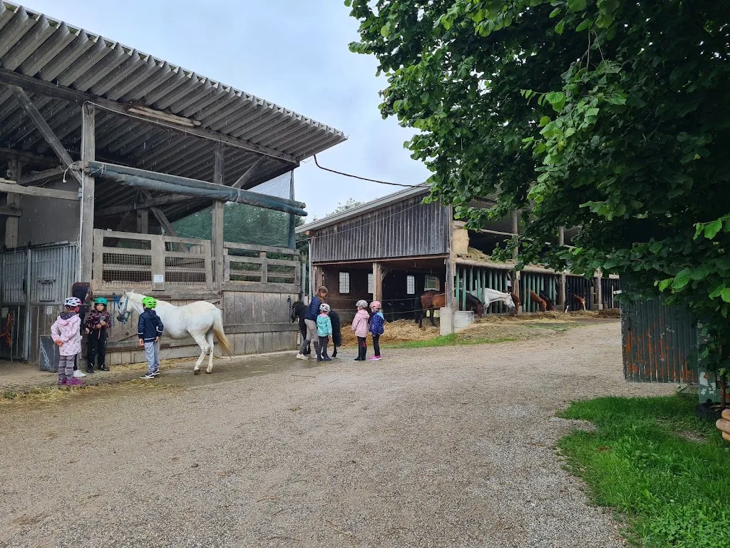 Reiterhof Rabl - Foto 3
