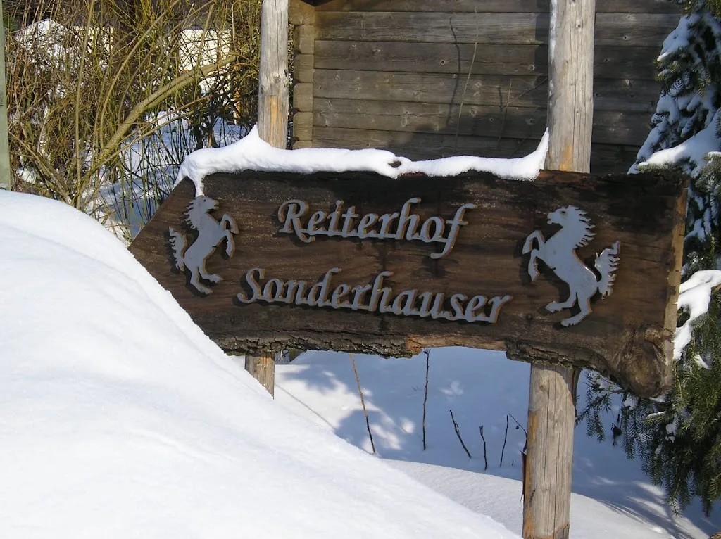 Pferdefreunde Engelsberg-Garching e.V. | Reit- & Voltigierverein - Foto 2