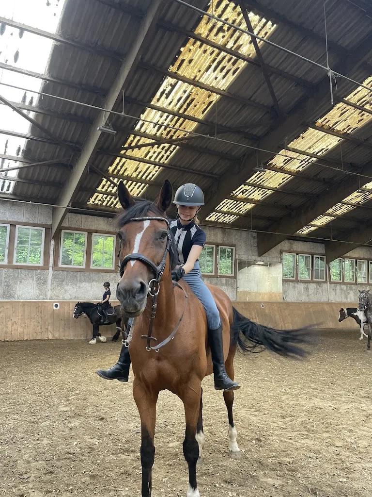 Pferdefreunde Hof Budde - Foto 2