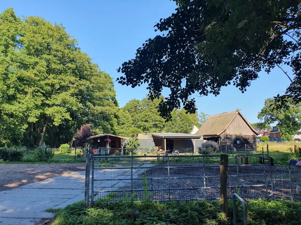 Reiten Prerow Rütz - Foto 1