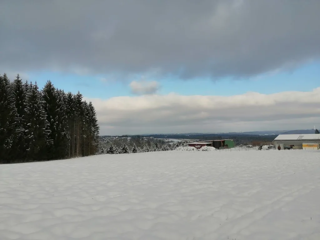 Reitstall Wiedmann - Foto 1