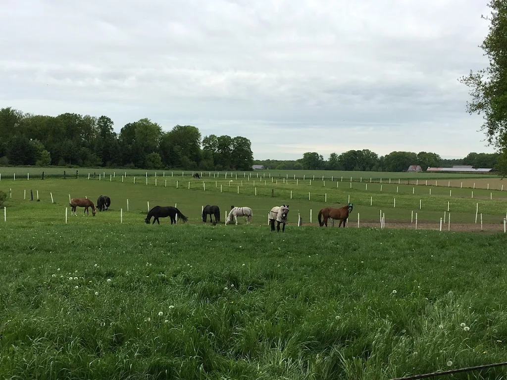 Reitstall Stukenborg - photo 1