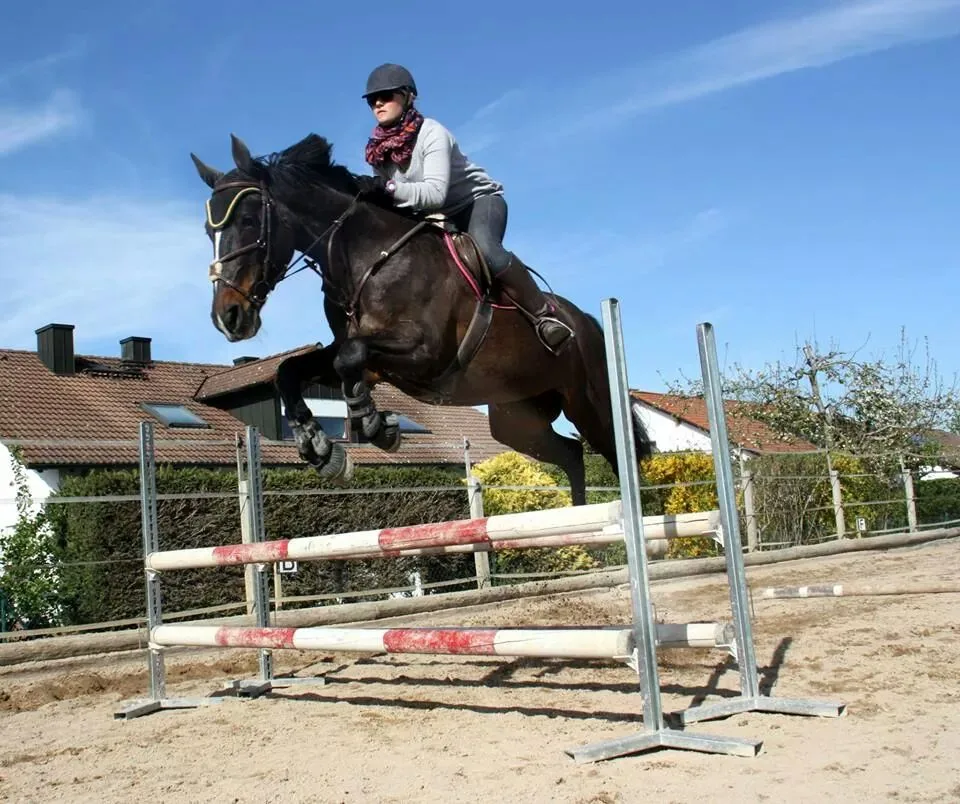 sun star ranch - photo 2
