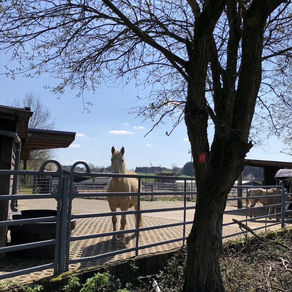 Reitzentrum Nallingen - Foto 2