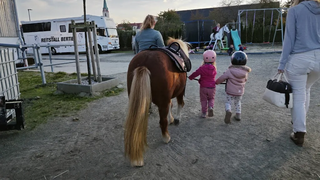 hofpferde Seifertshain - Foto 1