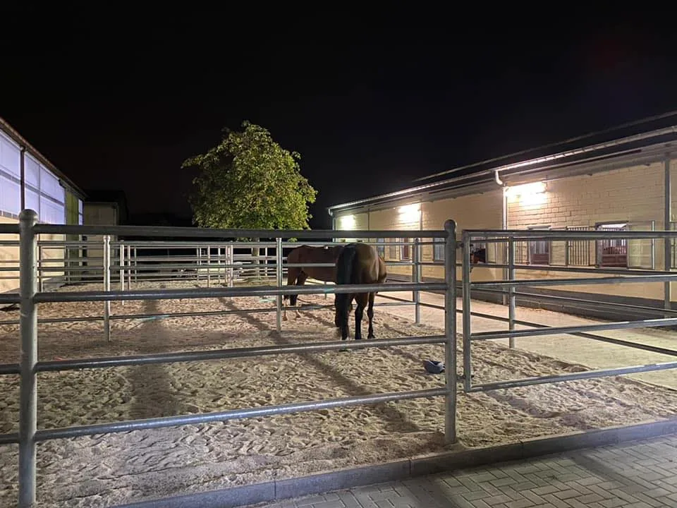 ML Stables GbR - photo 1
