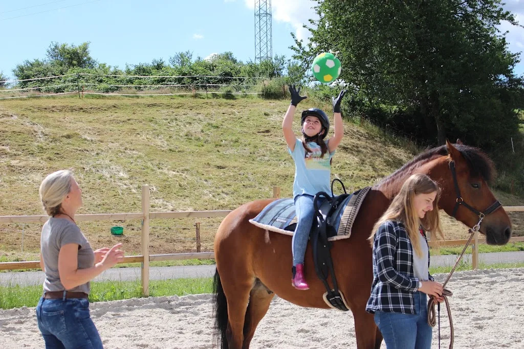 Reitschule und Pferdepension Freckenhausen - photo 2
