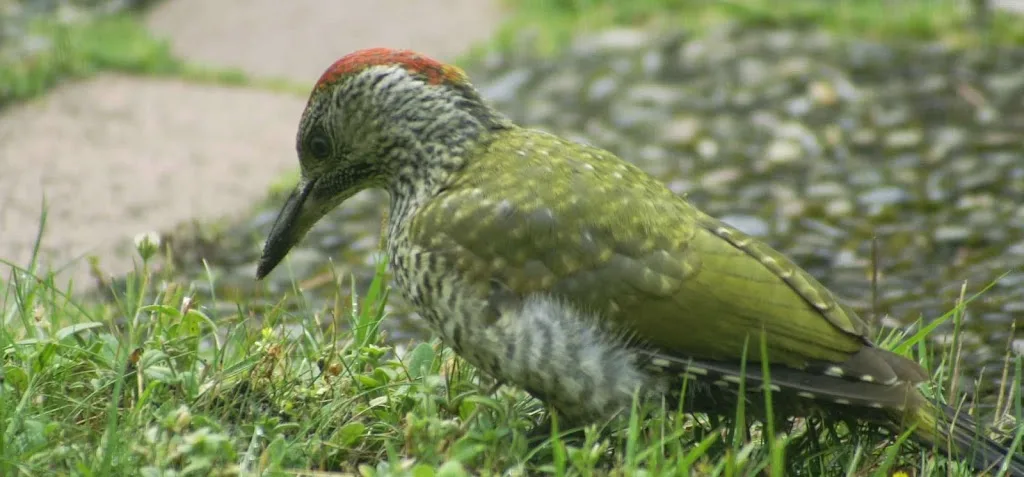 Hotel TraumzeitHof - Jürgen und Christine Reimer GbR - Foto 2