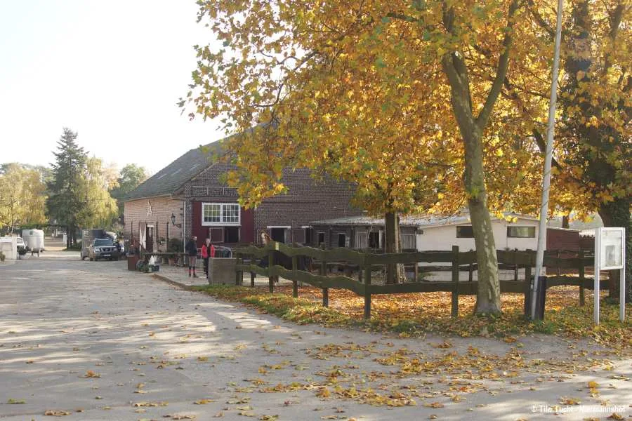 Reitsportzentrum Niermannshof - Foto 2