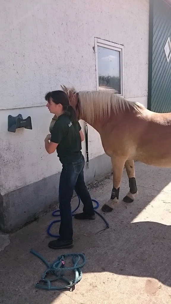 Reitanlage Hof am Eselsbach - photo 3
