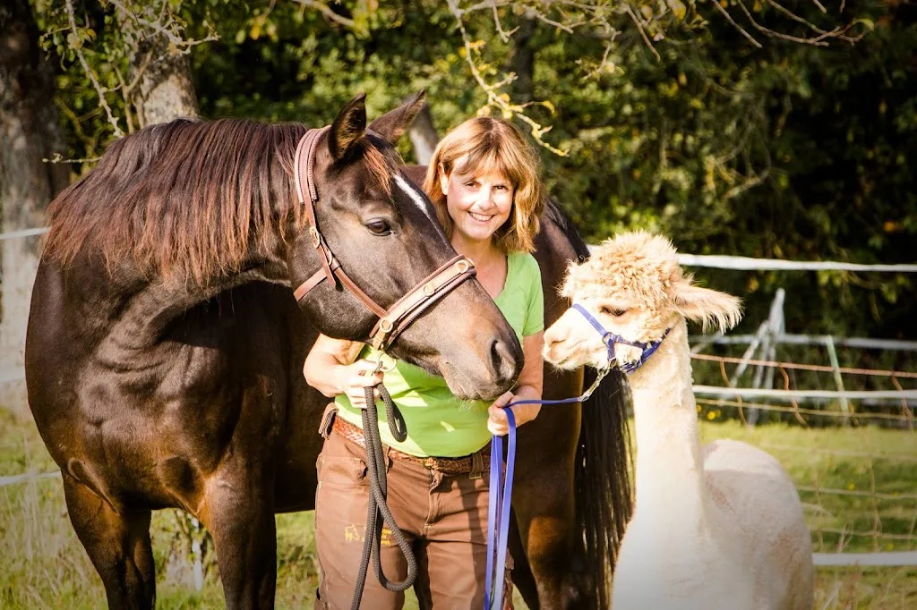 Orenda-Ranch: Reittherapie & Lama-/Alpakawanderung - Foto 1