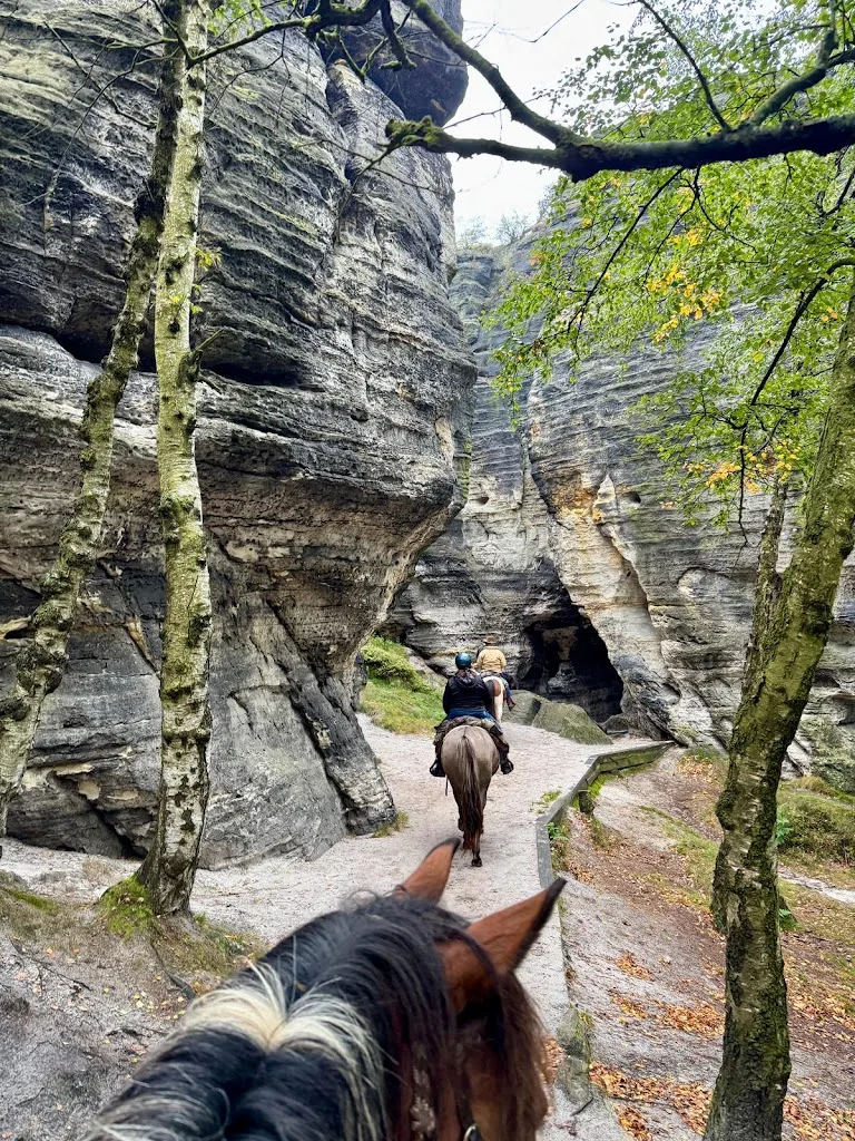 HWL-GLEISBERG - Foto 1
