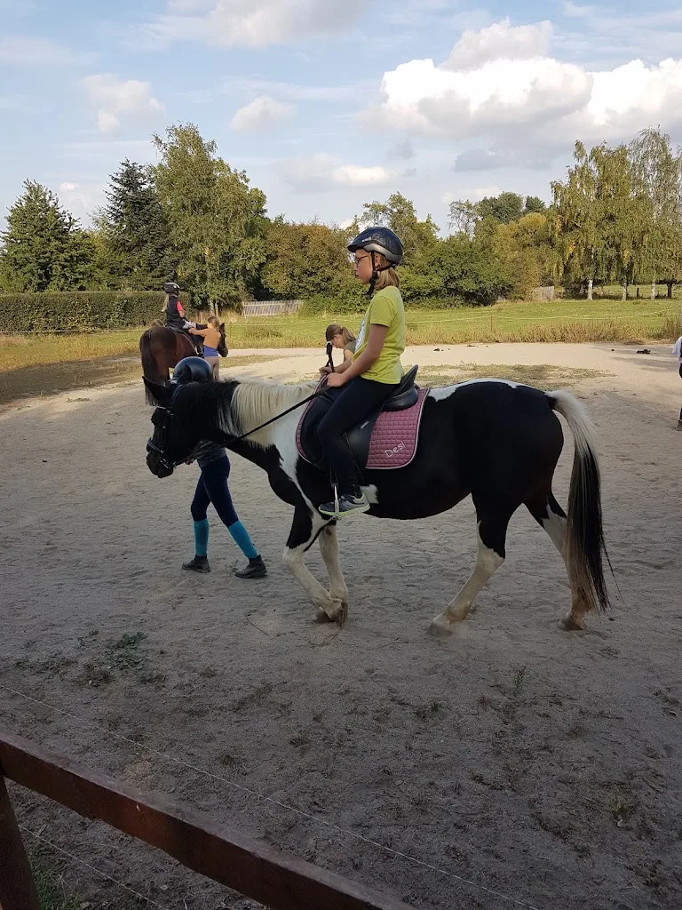 Reitstall Bertier - Foto 1