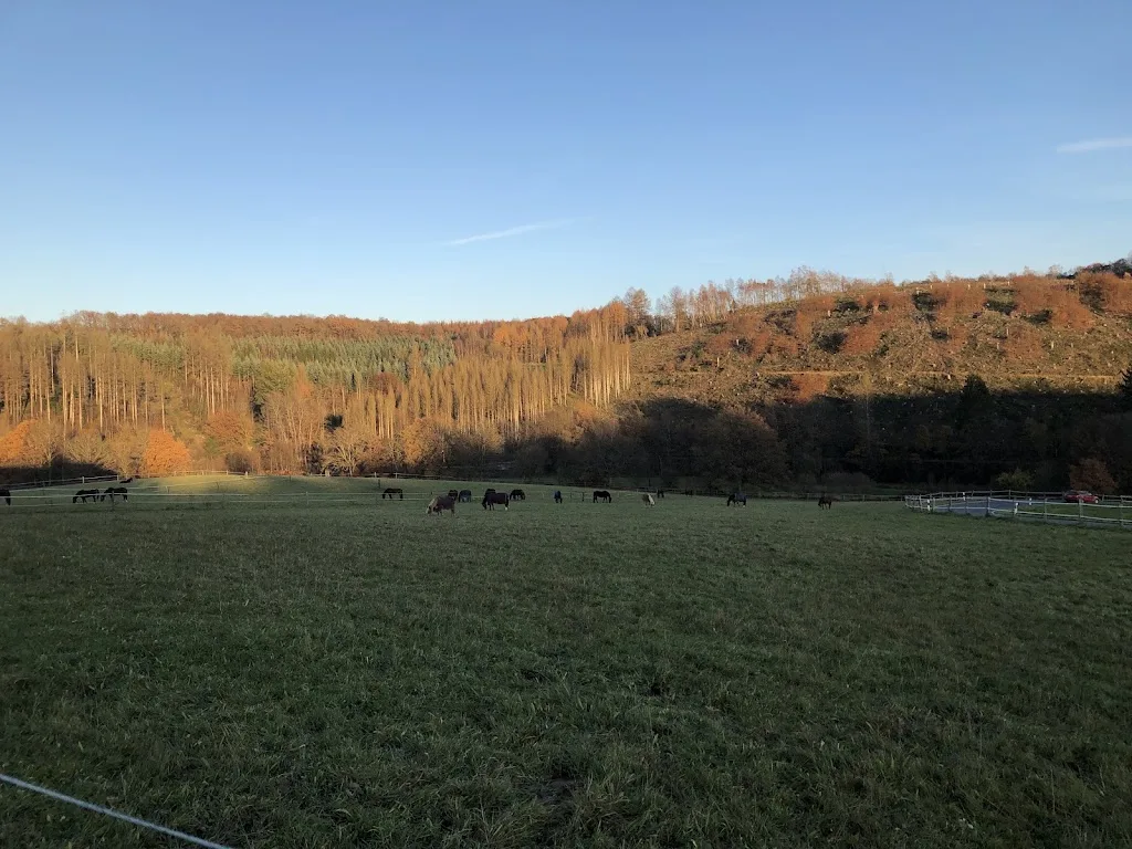 Reitstall Kittlerhof - Foto 2