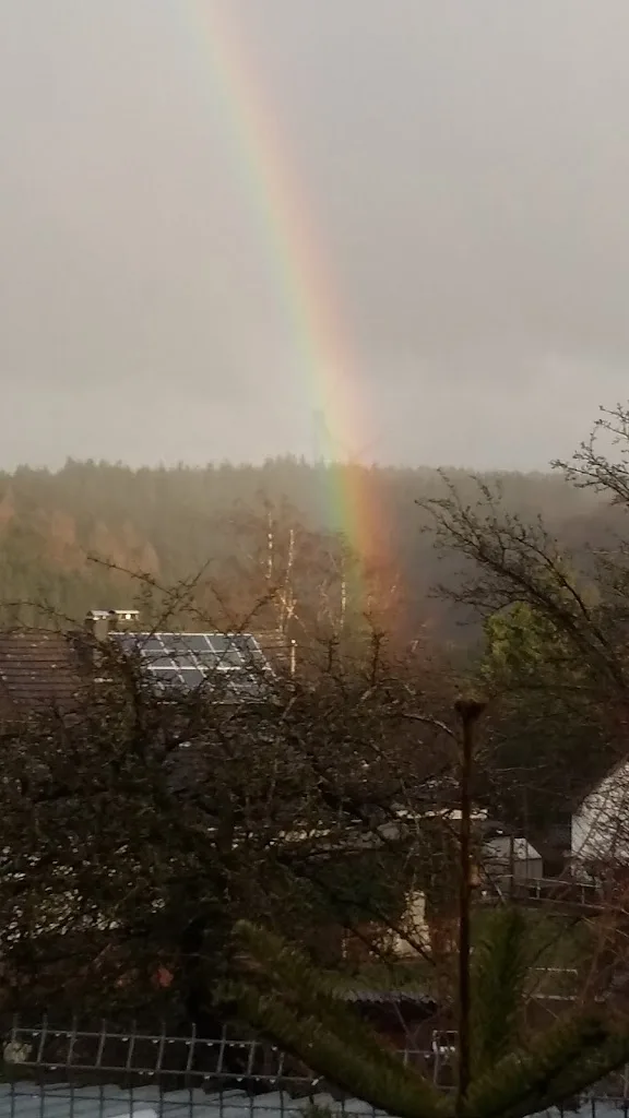 Islandpferde vom Königsfeld - Foto 1