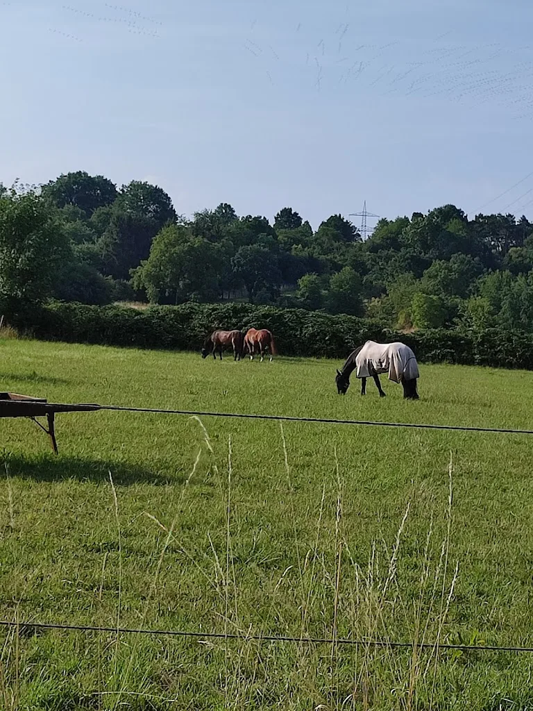 Reitanlage Dorheimer Bergwerk - Foto 1