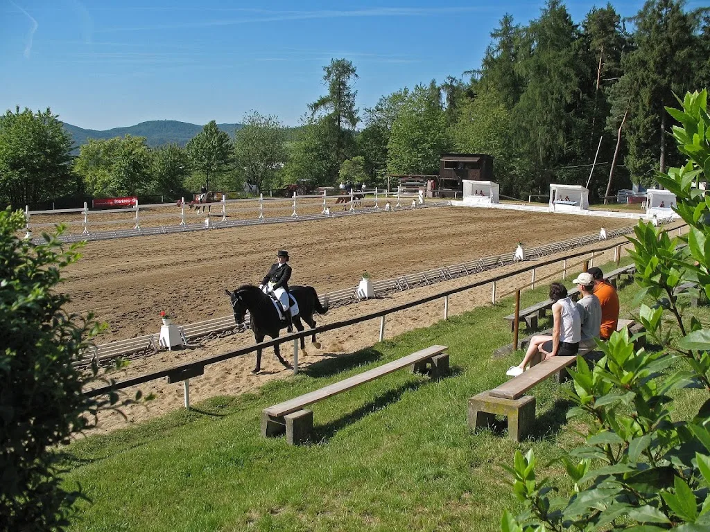 Reiterverein - Foto 3