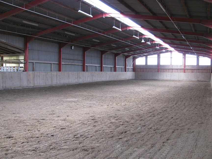 Pferdehof Gieser - Foto 3
