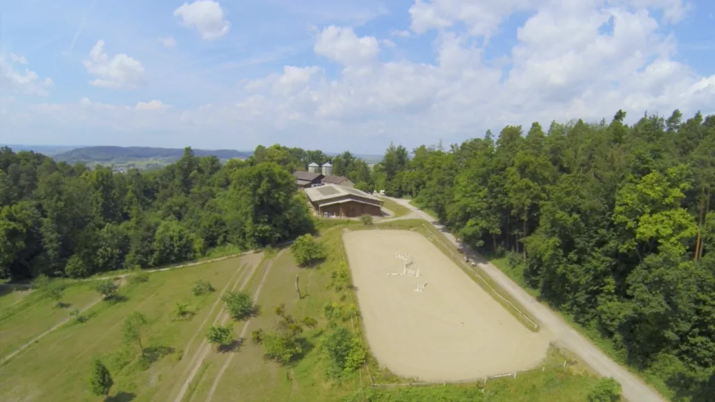Pferdehof Riekert - photo 1