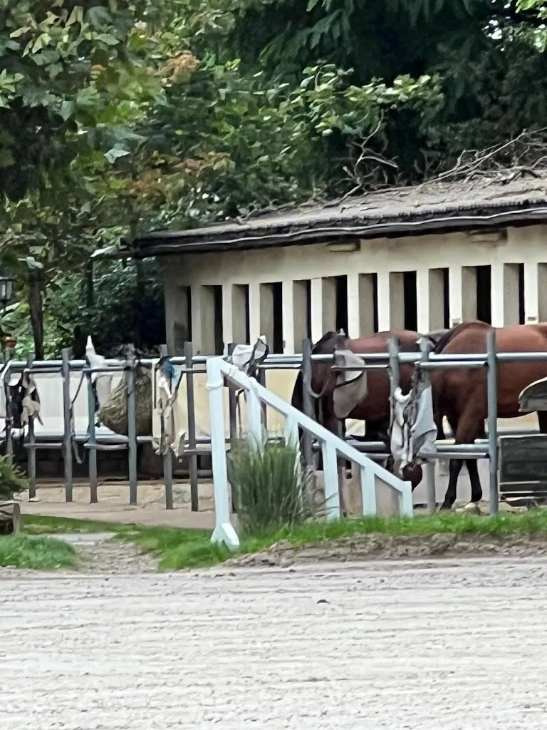 Reitstall Best - photo 1