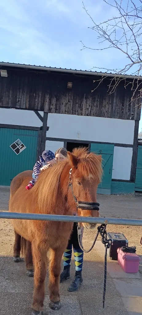 Islandpferdehof Weißenmoor - Foto 1