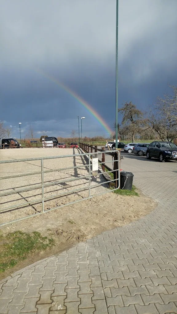 Landwirtschaft / Pensionspferdehaltung Windbergs - Foto 1