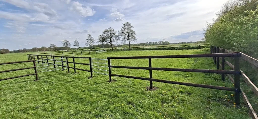Landpferdehof Schwartz-Hafter - Foto 1