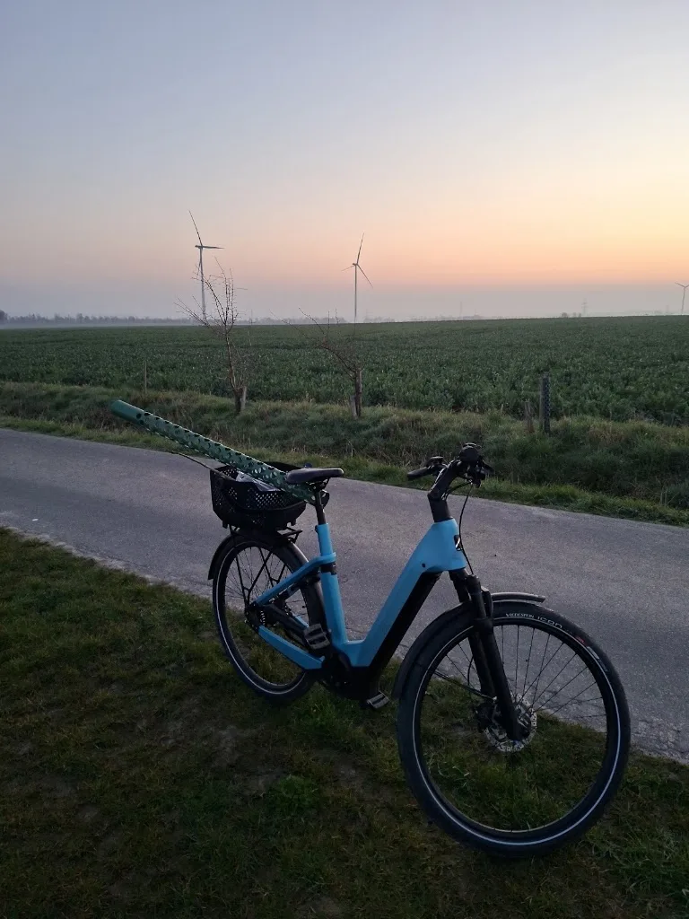 Pferdepension Lubik - Foto 3