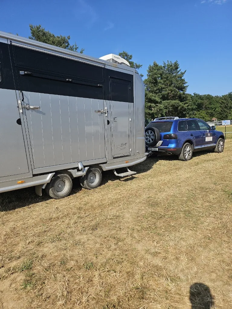 Dressursportzentrum Sulzbachtal - Foto 1