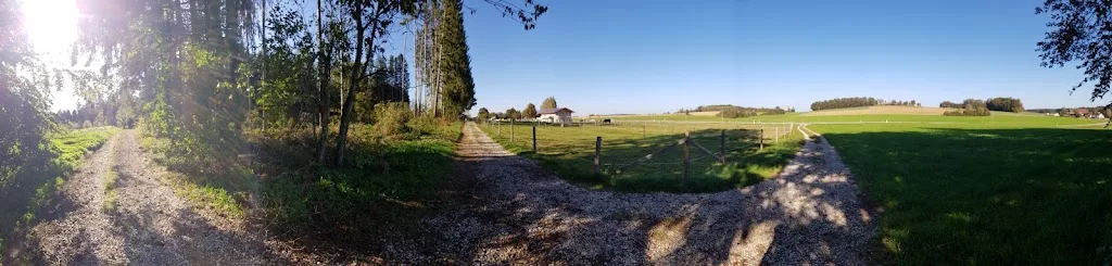 Sportpferde Schützinger - photo 2