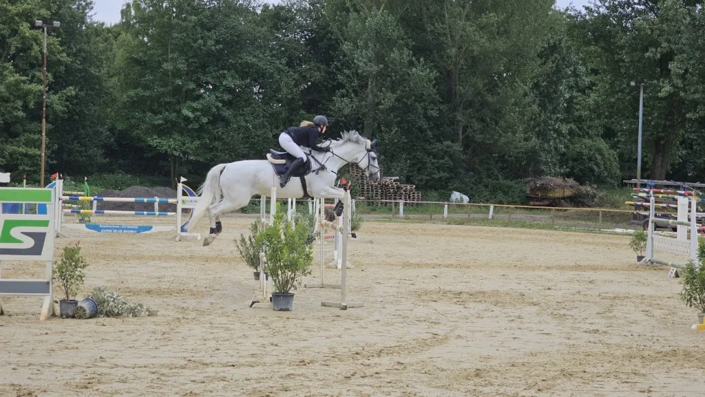 Pferdehof Sabine & Thomas Schmidt - Foto 1