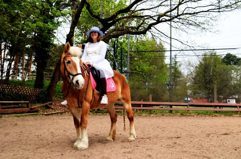 Reitclub Galoppsprung e.V. - Foto 2