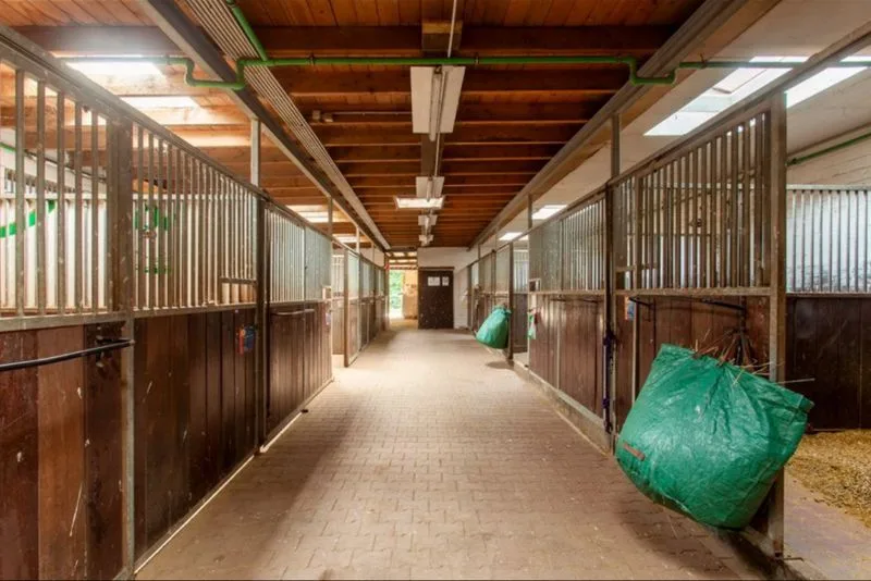 Peace of Mind Ranch - Foto 1