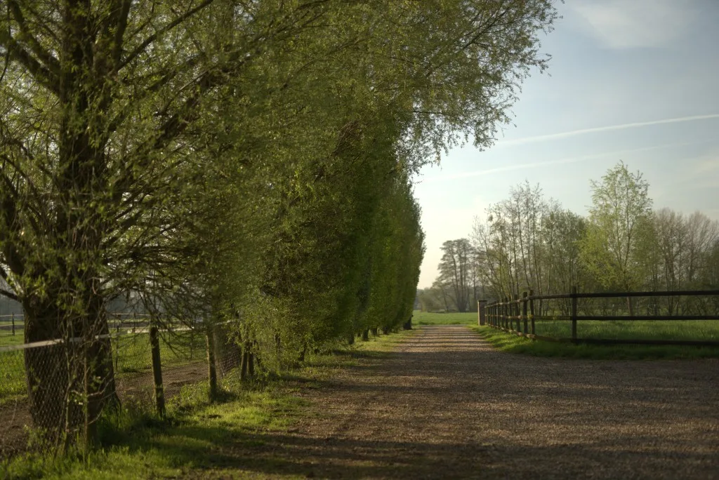 Peace of Mind Ranch - Foto 3