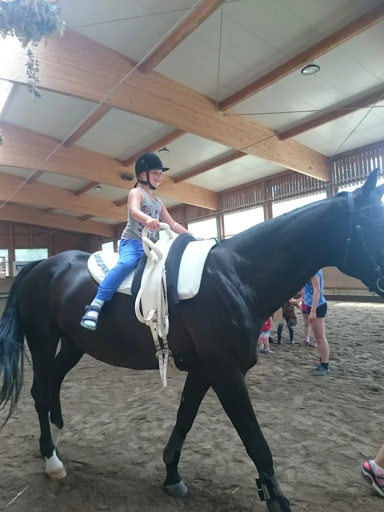 Reitanlage Zillhardtshof - photo 1