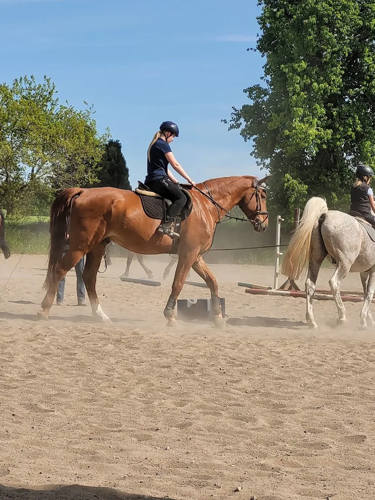 Reitstall Klein Raden - Foto 2
