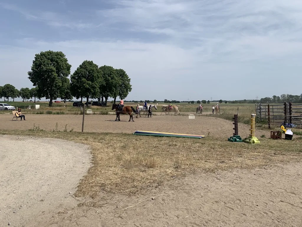 Reitstall Hellemann - Foto 2