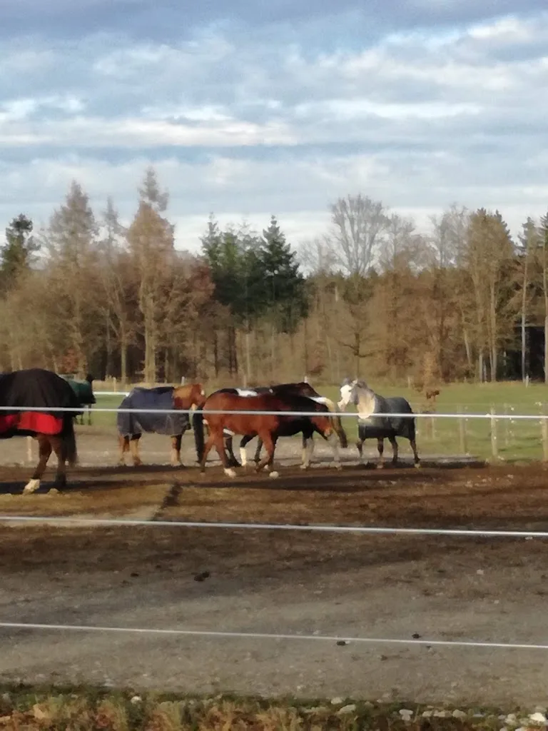 Reitanlage Garkofen - Foto 1