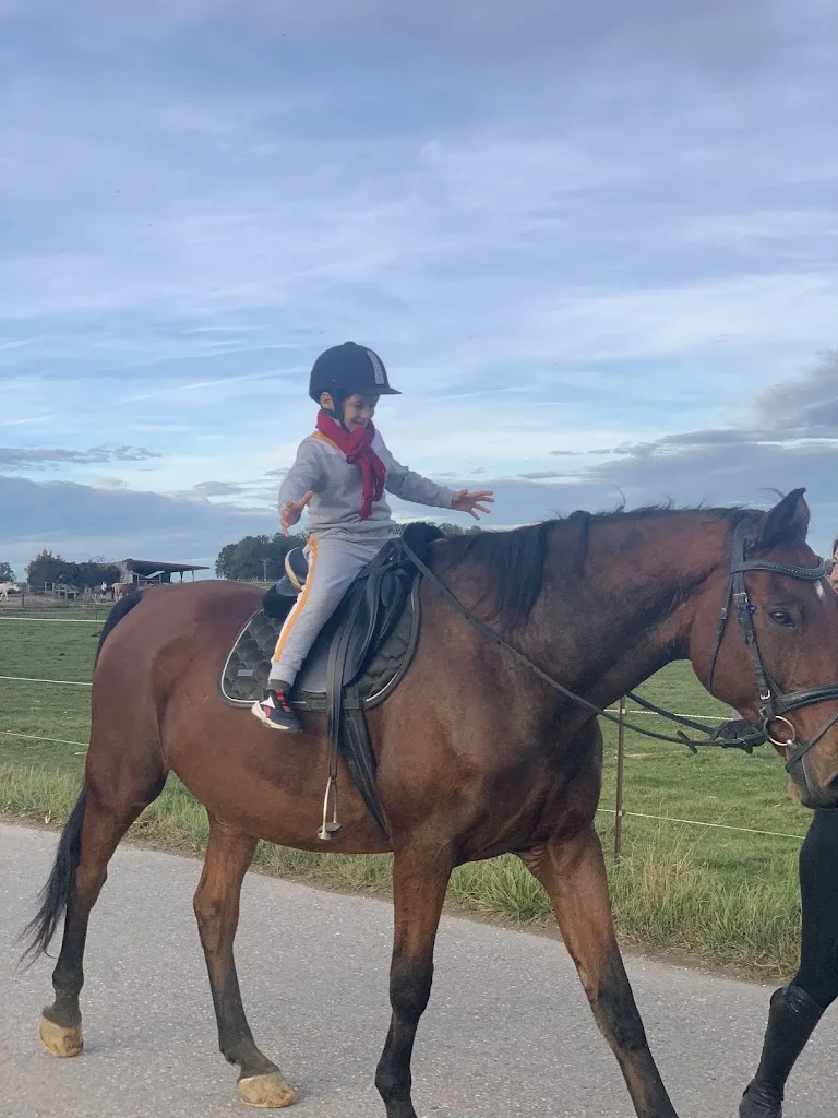 Reitanlage Garkofen - Foto 2