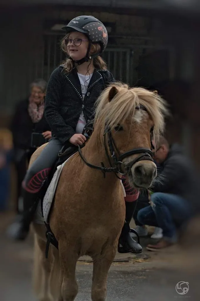 Reitstall Hubertus - photo 2