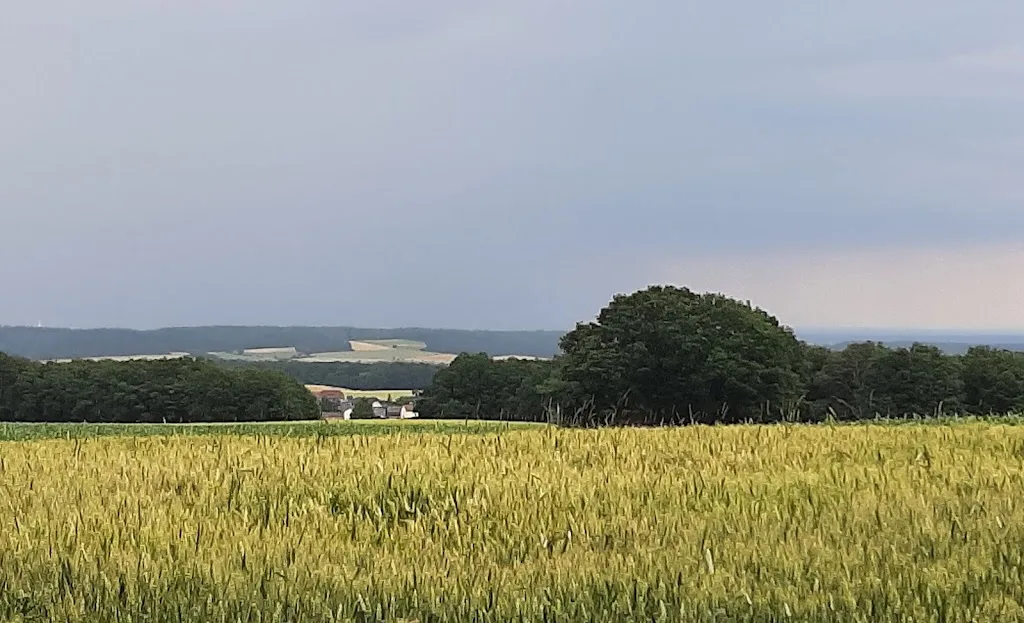 Becherhof - Foto 1
